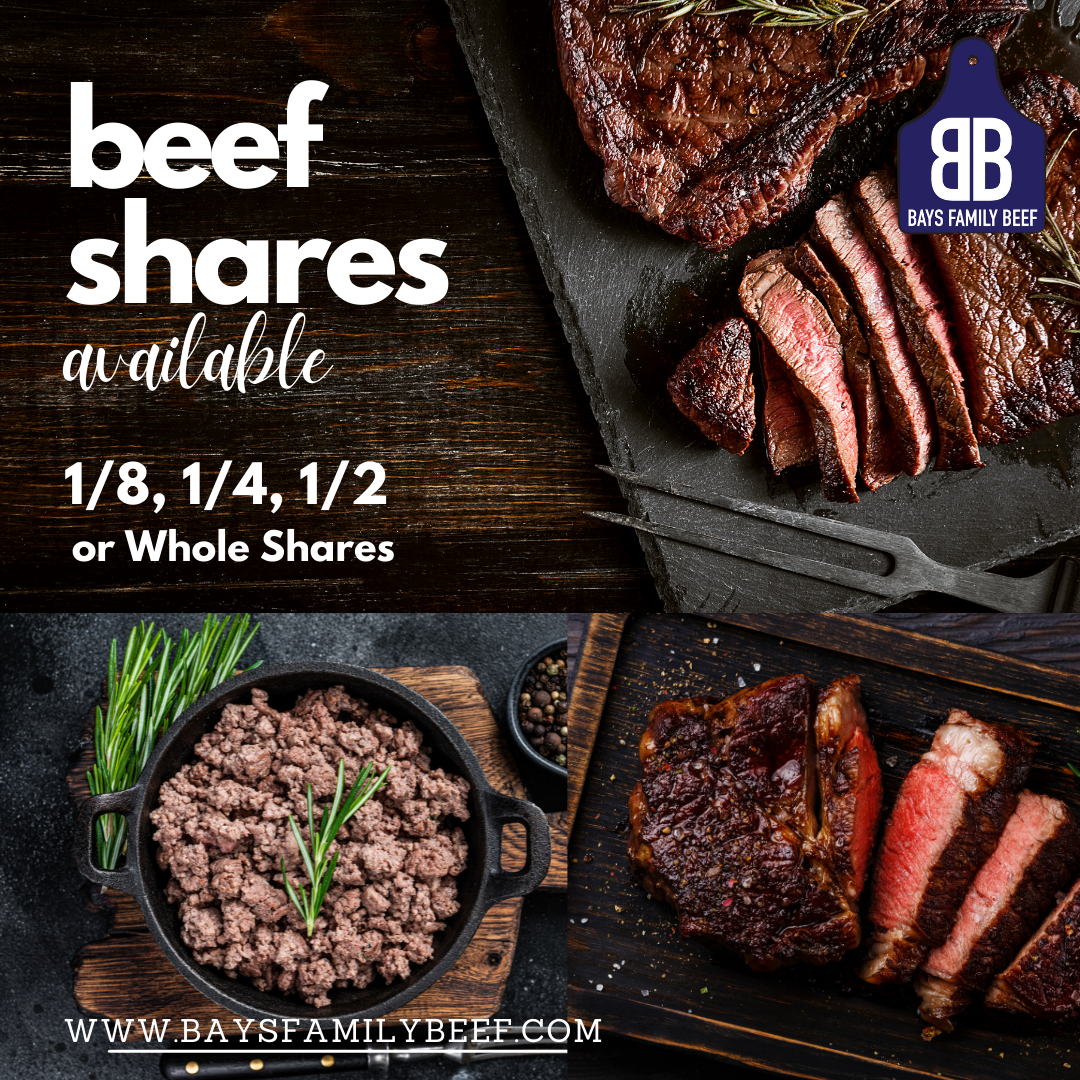 Beef Shares – Bays Family Beef